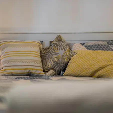 Kapetan Apartman *